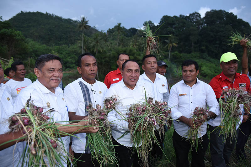 Edy Rahmayadi Ingin STM Hulu Jadi Sentra Penghasil Bawang Merah